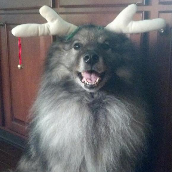 Meet your Posher, Jennifer - Picture 1 of 1